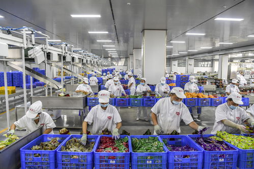 一碗 網(wǎng)紅 螺螄粉的誕生