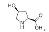L-羥脯氨酸 來源、性質(zhì)與應(yīng)用
